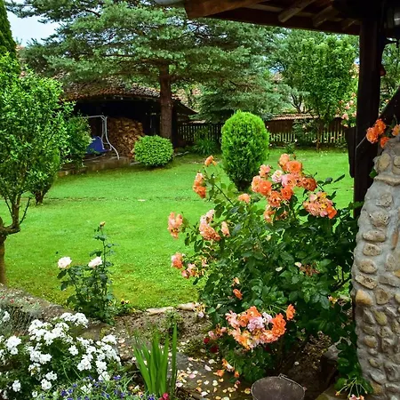 дядо петковата къща Casa vacanze *