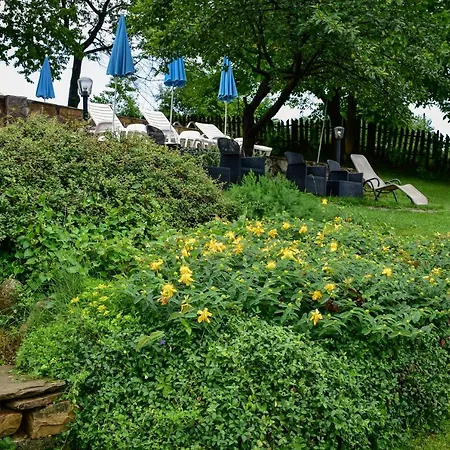 дядо петковата къща * Elena