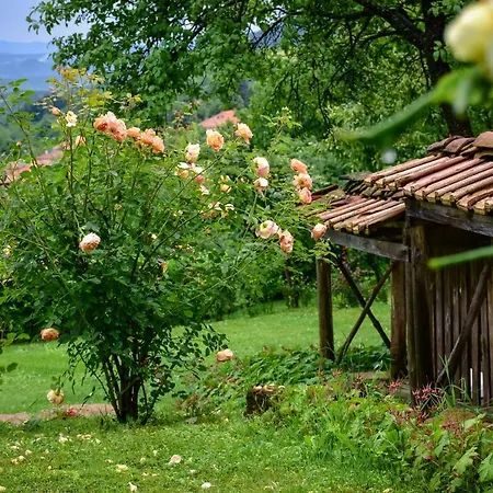 дядо петковата къща Elena