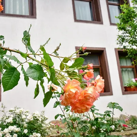 дядо петковата къща Casa vacanze *