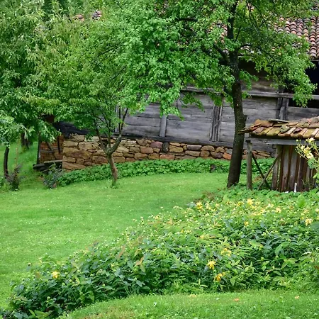 дядо петковата къща Casa vacanze Elena