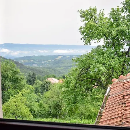 дядо петковата къща Elena