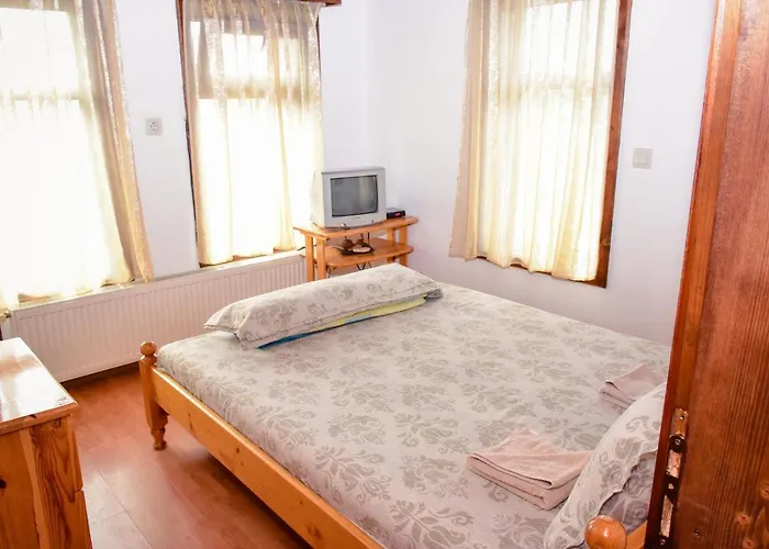 дядо петковата къща *