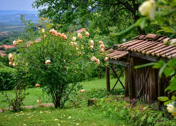 дядо петковата къща Elena