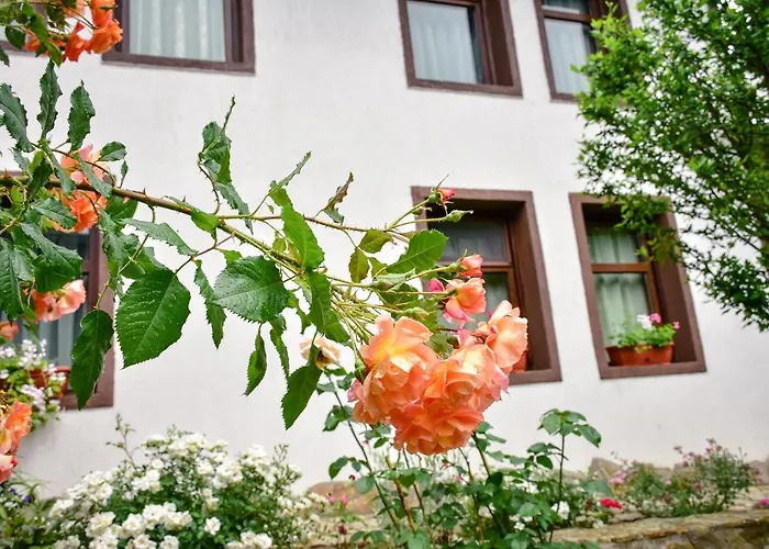 дядо петковата къща Feriehus *